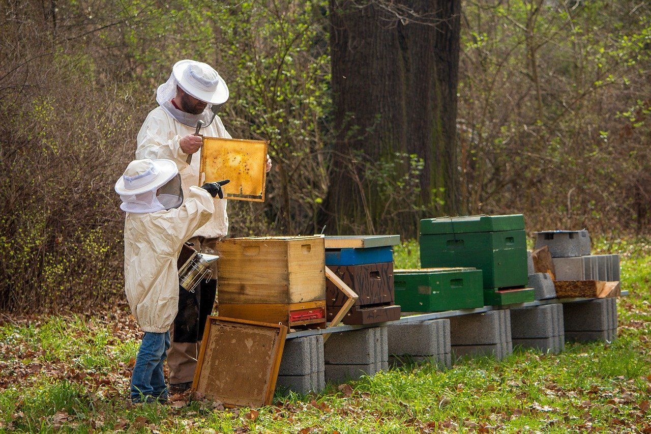 Suis-je fait pour devenir apiculteur